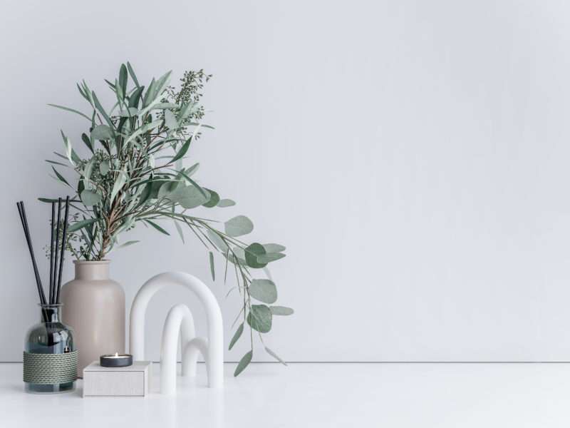 Interior minimal mock up, close up for Eucalyptus on white background, 3d render